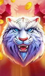Luck of Tiger